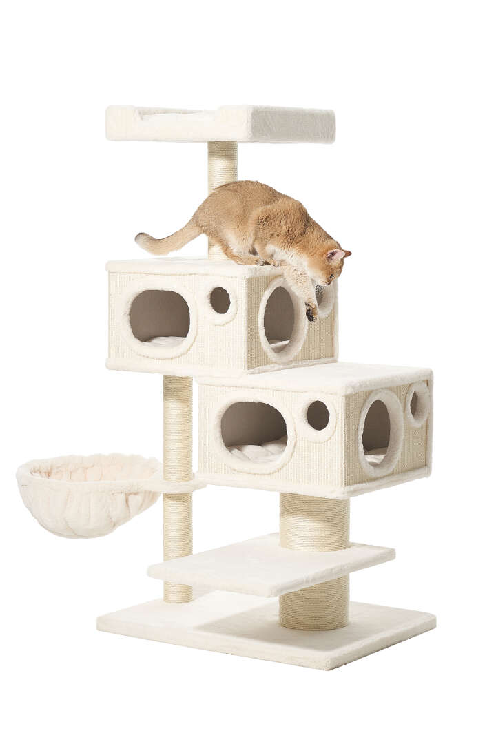 Nobby Kratzbaum Binka